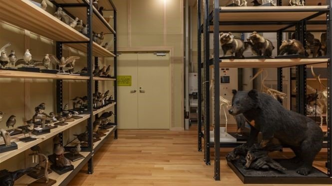 調湿建材キュアライトを採用した収蔵庫